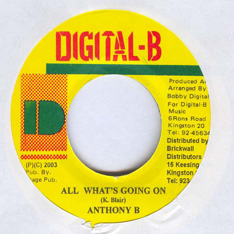 Anthony B - All What's Going On (7") - USED