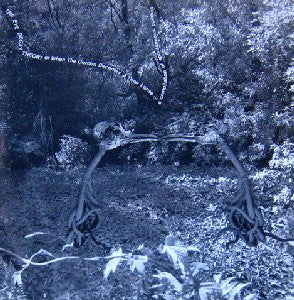 Various - The Eye Decay Theory Or When The Garden Becomes A Time Lapse (A Compilation Of Spontaneous Combustion Witnesses) (LP, Comp) - USED