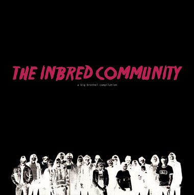 Various - The Inbred Community (LP) - USED