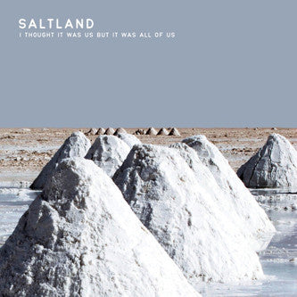Saltland - I Thought It Was Us But It Was All Of Us (LP, Album) - USED