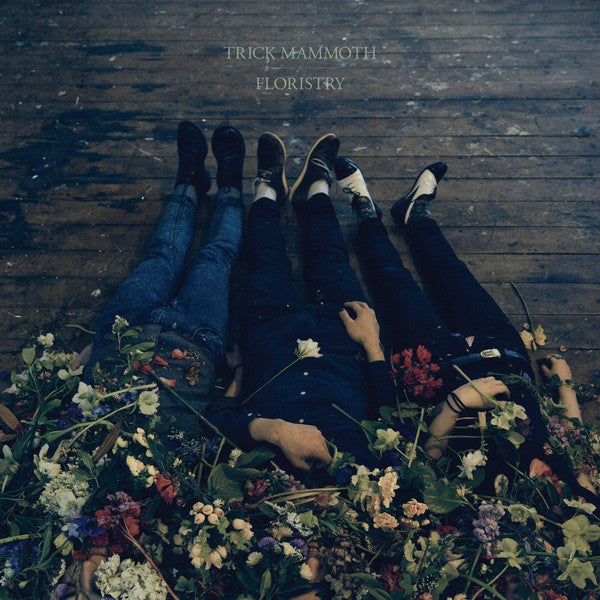 Trick Mammoth - Floristry (LP, Album) - USED