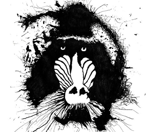Feral Ωhms* - Feral Ωhms (CD, Album) - NEW