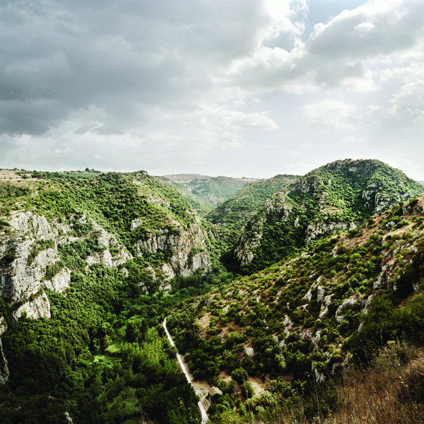 Mashrooms - Mashrooms (LP, Album) - USED