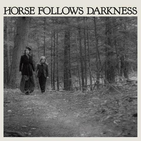 Delia Gonzalez - Horse Follows Darkness (LP, Album) - NEW