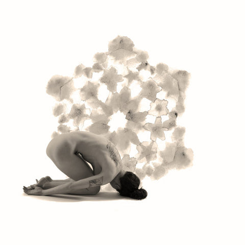 Larkin Grimm - Chasing An Illusion (LP, Album) - NEW