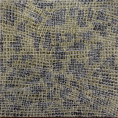 Peter Gabriel - Long Walk Home (2xLP, Album, Ltd, Num, RE, RM, 180) - NEW