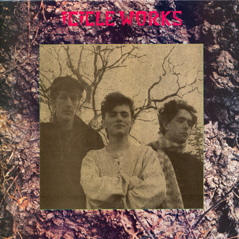 Icicle Works* - Icicle Works (LP, Album) - USED