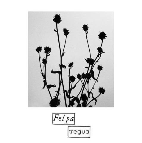 Felpa (2) - Tregua (CD, Album) - NEW