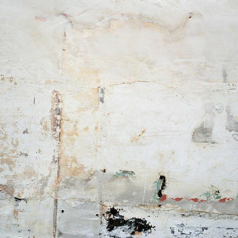 Brett Naucke - The Mansion   (LP, Album) - NEW