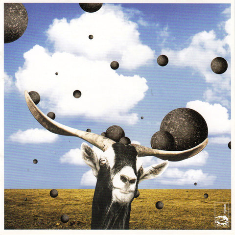 Umpire (3) - Now We're Active (CD, Album) - USED