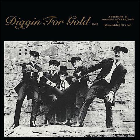 Various - Diggin' For Gold Vol 2 (LP, Comp, Ltd, Num, RE, 180) - NEW