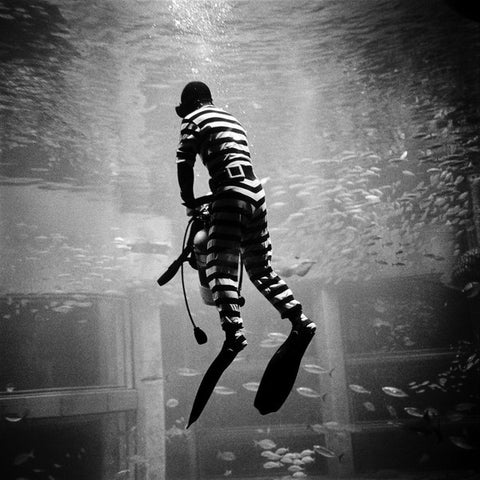 Norberto Lobo - Estrela (CD, Album) - NEW