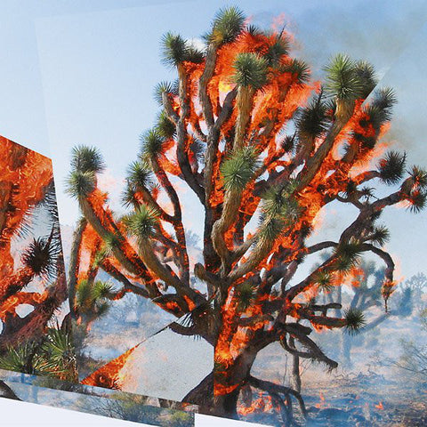 Oren Ambarchi, Kassel Jaeger, James Rushford - Face Time (LP, Neo) - NEW