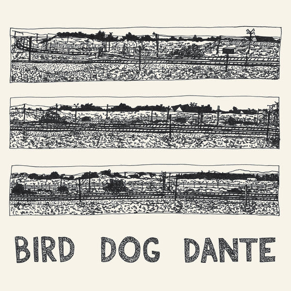 John Parish - Bird Dog Dante (LP, Album) - NEW