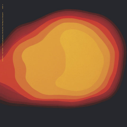 Konstrukt & Keiji Haino = コンストラクト* & 灰野敬二* - A Philosophy Warping, Little By Little That Way Lies A Quagmire (Live) = 少しずつ曲がっている哲学　その先には湿地がある (LP, Album, Ltd, 180) - NEW