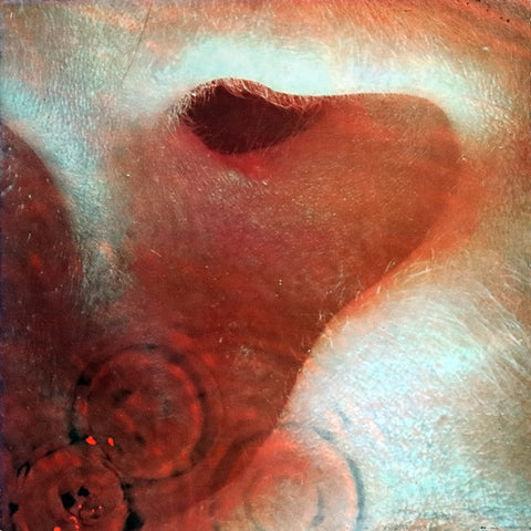 Pink Floyd - Meddle (LP, Album, Gat) - USED