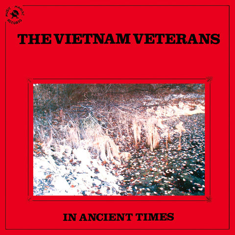 The Vietnam Veterans* - In Ancient Times (LP, Album) - USED