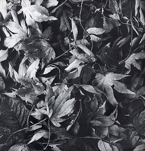 Bark Psychosis - All Different Things / By-Blow (12", Single) - USED