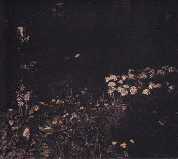 Sarah Davachi - Pale Bloom (CD, Album) - NEW