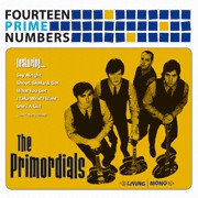 The Primordials - Fourteen Prime Numbers (LP, Album) - USED