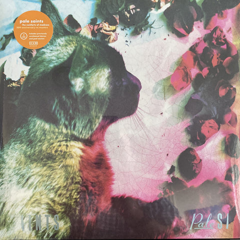 Pale Saints - The Comforts Of Madness 30th Anniversary Re:Masters (LP, Album + LP, Comp + Ltd, S/Edition, Cle) - NEW