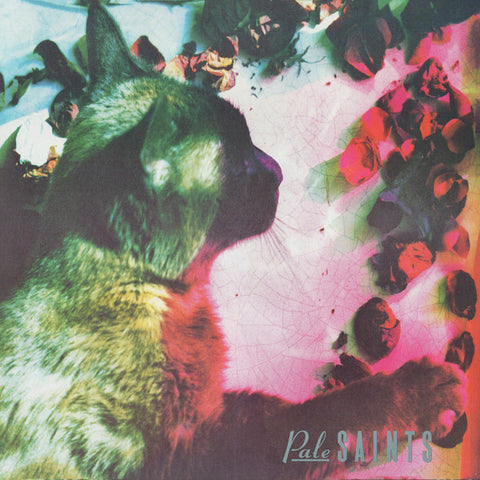 Pale Saints - The Comforts Of Madness 30th Anniversary Re:Masters (LP, Album) - NEW