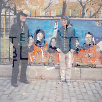 Terrestrial Tones - Blasted (CD, Album) - USED
