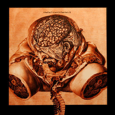 Richard Ramirez / MSBR - Negative / Offensive (LP, Ltd) - USED