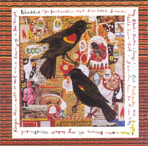 Steve Earle - Just An American Boy (2xCD, Album) - USED