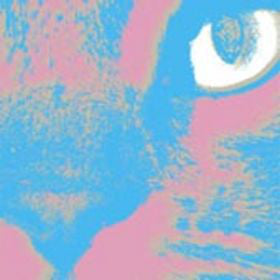 Inca Ore - Brute Nature Versus Wild Magic (LP, Ltd, RP) - USED