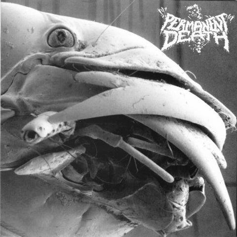 Permanent Death / Pissdeads - Permanent Death / Pissdeads (7", Ltd) - USED