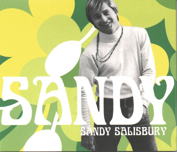 Sandy Salisbury - Sandy (CD, Comp) - USED