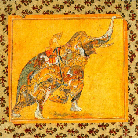 Julian Lynch - Orange You Glad (LP, Album, Ltd) - USED