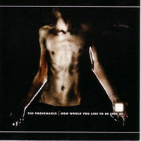 The Provenance - How Would You Like To Be Spat At (CD, Album) - USED