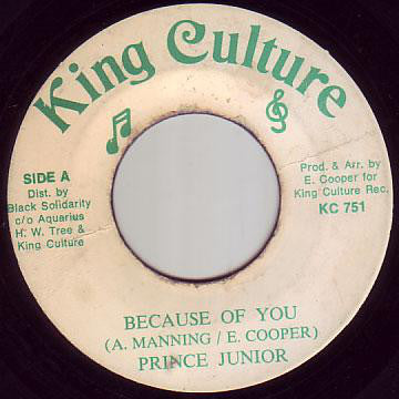 Prince Junior (2) - Because Of You (7") - USED