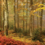 People Of The North - Deep Tissue (LP) - NEW