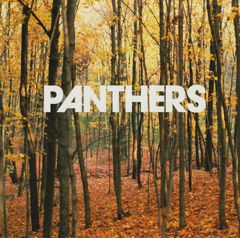 Panthers - Things Are Strange (CD, Album) - USED