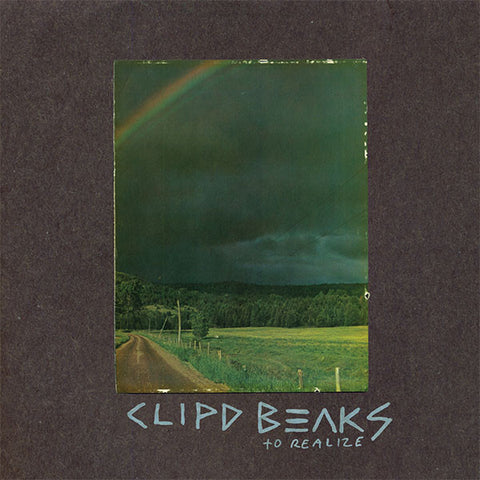 Clipd Beaks - To Realize (2xLP, Album) - USED