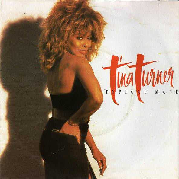 Tina Turner - Typical Male (7") - USED