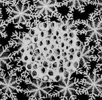 Majutsu No Niwa - Ecstatic Crystallization (CD, Album, Ltd, RE) - USED