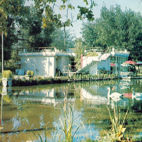 Ducktails - III: Arcade Dynamics (LP, Album) - NEW