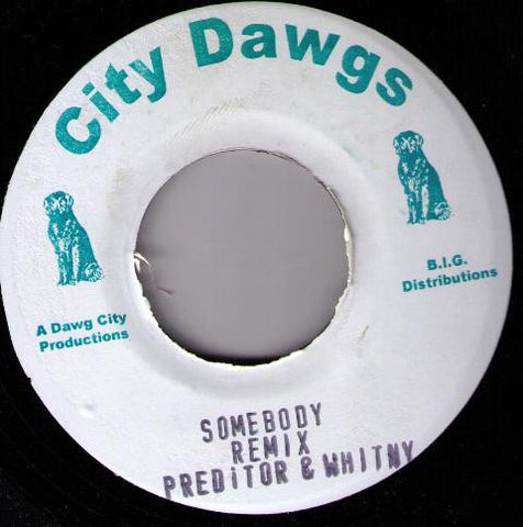 Preditor* & Whitney* - Somebody Remix (7", Unofficial) - USED