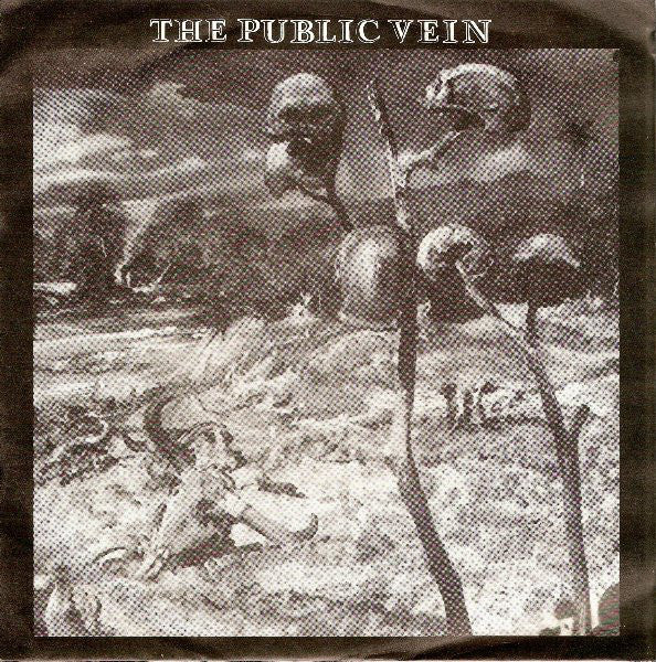 The Public Vein - Carry On (7") - USED