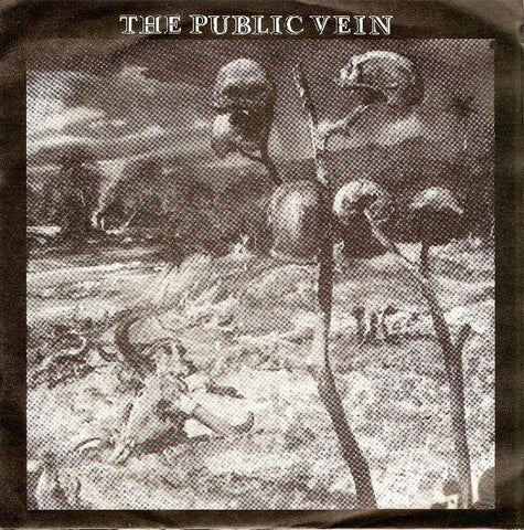 The Public Vein - Carry On (7") - USED