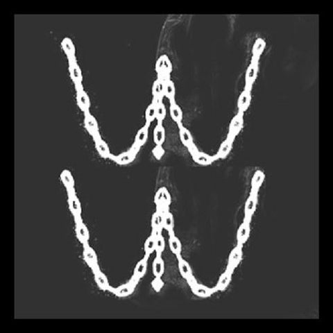 Women In The Woods - Stanza Nera (LP, Ltd) - USED