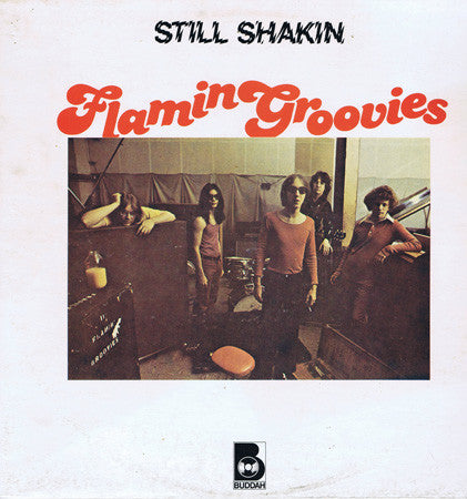Flamin Groovies* - Still Shakin (LP, Comp) - USED