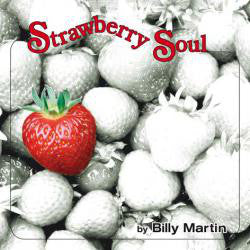 Billy Martin (3) - Strawberry Soul (LP, Album, RE) - NEW