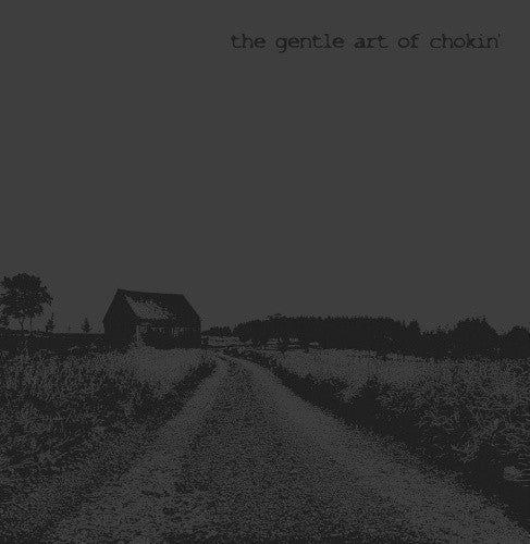 The Gentle Art Of Chokin' - The Gentle Art Of Chokin' (LP, Album) - USED