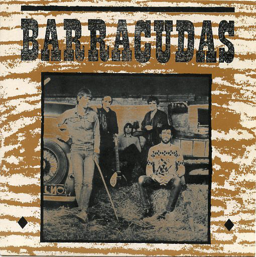 Barracudas - The Way We've Changed (7", Single) - USED