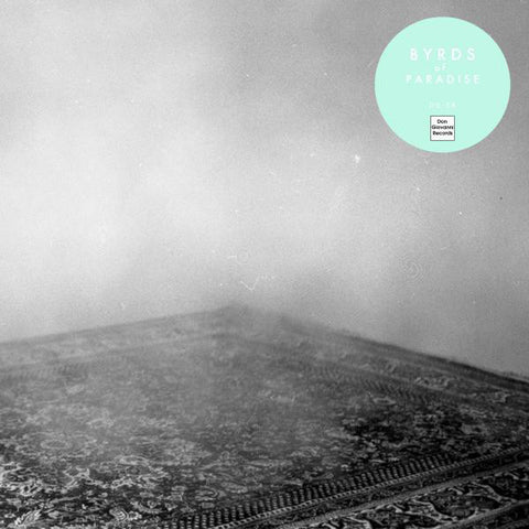 Byrds Of Paradise - Teenage Symphonies (LP, Album) - NEW